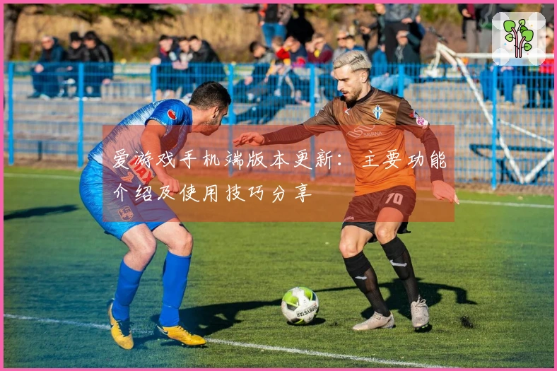 爱游戏手机端版本更新：主要功能介绍及使用技巧分享